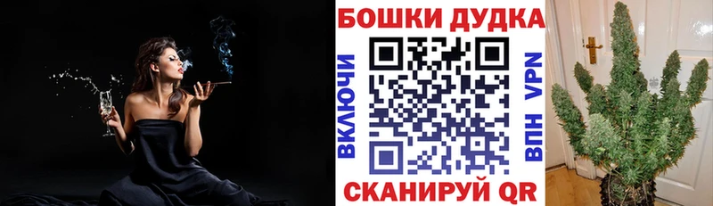 Магазины продажи наркотиков Приволжск гидра ТОР  Псилоцибиновые грибы  Амфетамин  Конопля  ГАШ  Альфа ПВП  Меф  Cocaine 