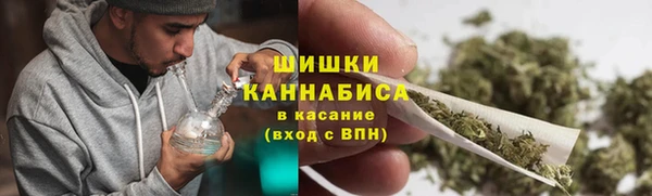 PSILOCYBIN Абаза