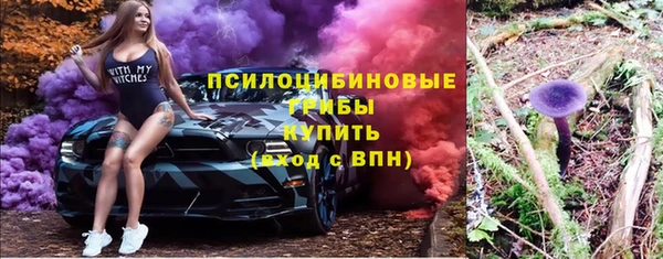 СК Абинск