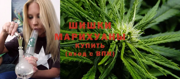 PSILOCYBIN Абаза