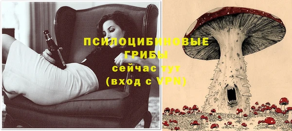гашик Абдулино
